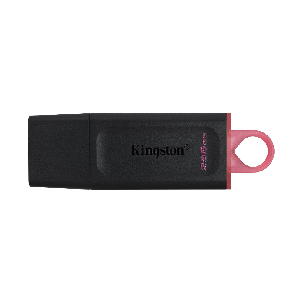 Kingston DataTraveler Exodia memoria B 256GB color negro/rosa DTX/256GB
