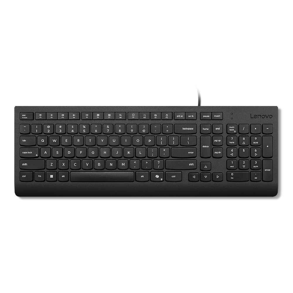 Lenovo Teclado con cable USB Essential color negro Español LA 171 4Y41R64657